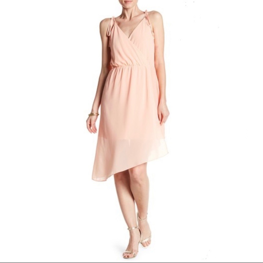 Haute Hippie Lined Slip Dress